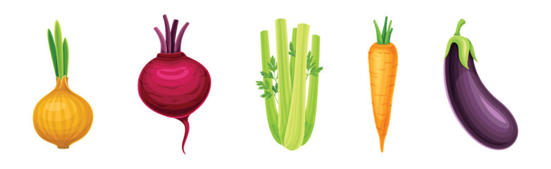 Ripe and Fresh Garden Vegetable and Veggie Harvest Vector Set