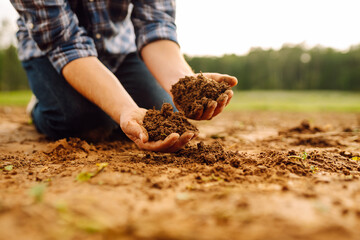 Soil in the hands of a farmer. Close-up of hands with black soil.  Ecology, agriculture concept.