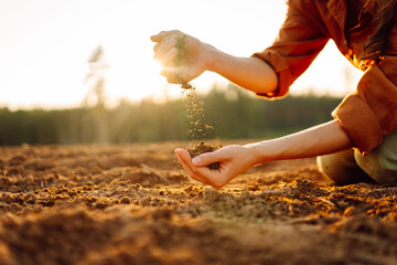 Women's hands sort through fertile soil in the field. Farmer checks the quality of the soil....