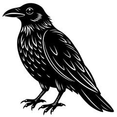 crow silhouette vector illustration svg file
