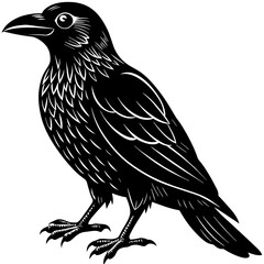 crow silhouette vector illustration svg file
