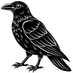 crow silhouette vector illustration svg file
