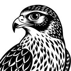 hawk silhouette vector illustration svg file
