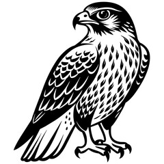 hawk silhouette vector illustration svg file
