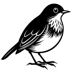 robin silhouette vector illustration svg file

