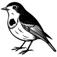 robin silhouette vector illustration svg file
