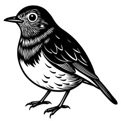 robin silhouette vector illustration svg file
