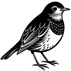 robin silhouette vector illustration svg file
