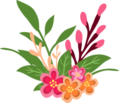 Vector illustration beautiful bouquets of flowers compositions