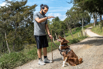 adult mixed-breed man training his border collie dog by teaching it to sit