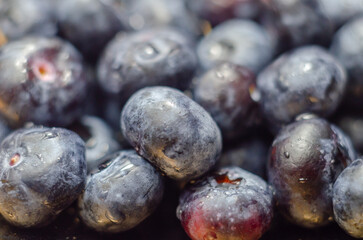 A bunch of blueberries are shown in a close up - 776210547