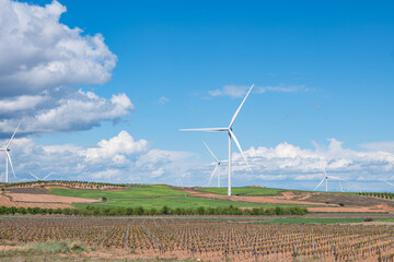 Turbines in a mountain wind farm. Rapeseed and windwheels. Ecological energy production.