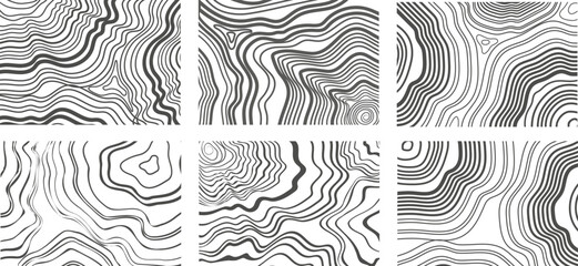 Abstract growth rings of a tree.Line design of a wooden stump.Tree cut pattern.Vector topographic map concept drawn with black lines on a white background. 
