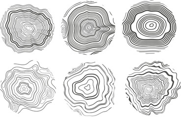 Abstract growth rings of a tree.Line design of a wooden stump.Tree cut pattern.Vector topographic map concept drawn with black lines on a white background. 