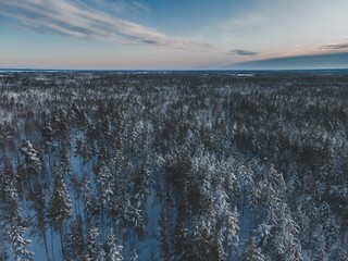 Winter Snow Landscape in Sweden by Drone