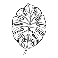 Fototapeta premium Monstera leaf line art