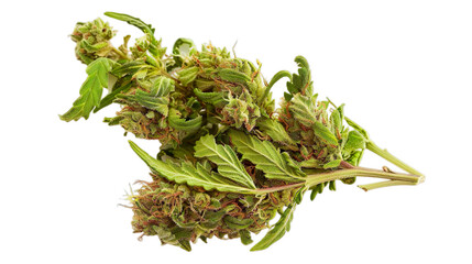 Cannabis isolated on transparent background, png