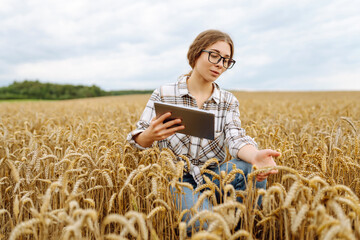 Woman agronomist in a field with a tablet checks the growth of the crop. Smart farm. Harvesting. Agricultural concept.