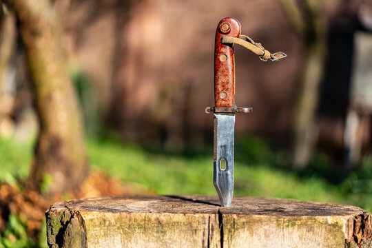 Military old bayonet knife in a wooden stump, closeup, outdoors. Bayonet-knife made during the Soviet Union