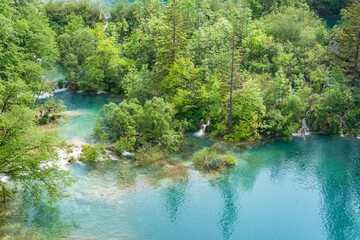 View of turquoise water of lakes surrounded by luxuriant green forest Croatia