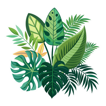 Tropical palm leaves, jungle leaves, botanical vector