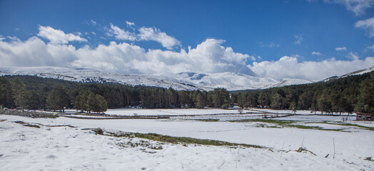 Landscape of snowy meadows in the Sierra de Gredos