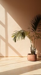 Empty wall with shadow from plants, home flower in pot near wall