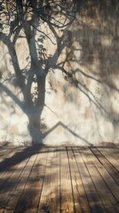 Sunlit terrace near the house, shadows on the wall from trees