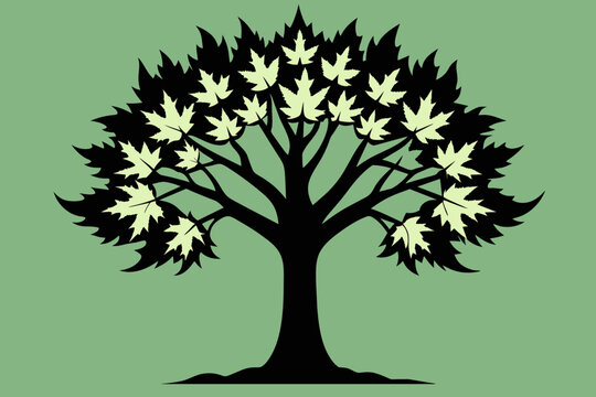 Sugar maple tree vector design 