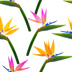 Vector tropical pattern. Paradise flowers on a white background, bright tropical pattern