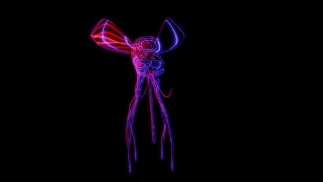 Rendering 3D animation, VISUAL EFFECTS mosquito model on a black background