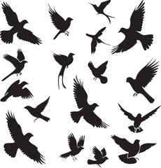 Set of Birds Black on white background