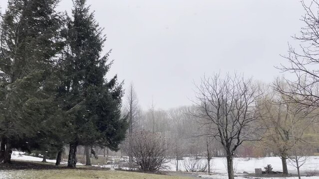 Le vent souffle et la neige tombe dans un parc