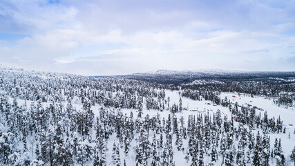 Forest covered with snow, aerial view with drone, view from above
