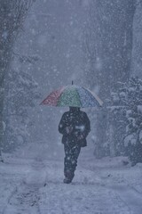 person with umbrella in snow