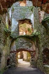 Ruins of old castle in Krzyztopor, Ujazd, Poland - 776279162
