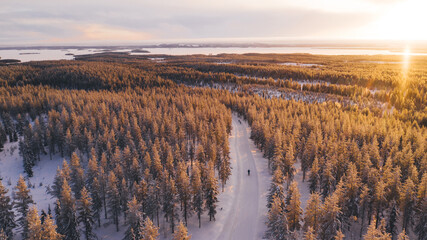 Bird’s eye aerial view, group of travelers riding with bicycles on path surrounded on snowy white coniferous forest trees enjoying active sport recreation, Winter tourism in famous Riisitunturi park - obrazy, fototapety, plakaty