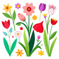 Spring flowers isolated on white background. Red, yellow and pink