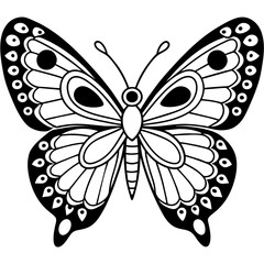 high quality vector art | butterfly illustration line art, outline | adobe stock
