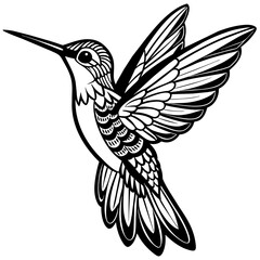 hummingbird in flight- Vector illustration