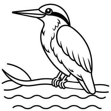 recommend clip art: Kingfisher bird hand drawing coloring pages Outline line art kids | adobe stock