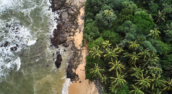 Aerial view of the beach with palm trees. Sri-lanka, Matara. High quality photo