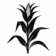 black silhouette of corn plant line