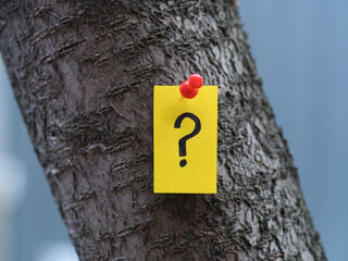 A yellow paper note with a question mark on it pinned to a tree. Close up.