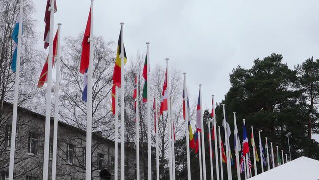 Rows of various national flags on flagpoles with trees and a building in the background.