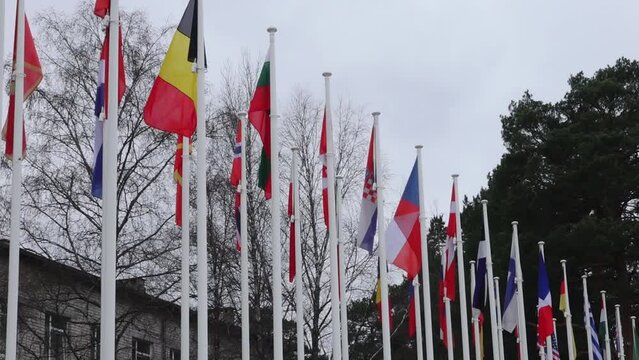 Rows of various national flags on flagpoles with trees and a building in the background.