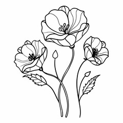 Poppies flowers continuous line drawing. Editable line. Black and white art 