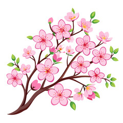 line art Pink sakura flower background. Watercolor cherry blossom vector