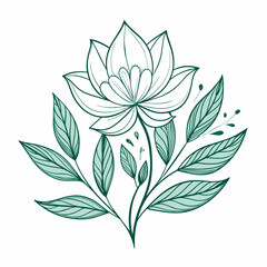 Minimal drawn floral botanical line art 