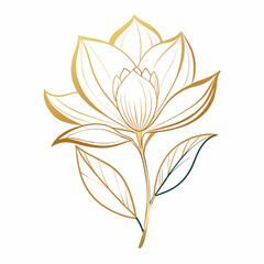 Natural botanical elegant flower with gold line art